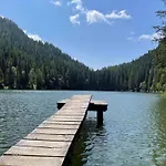 Grebenzen 44 * Sankt Lambrecht