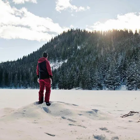 Grebenzen 44 Holiday home Sankt Lambrecht